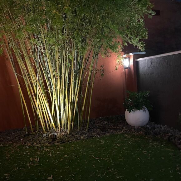 Charming Charlie I Speak Fluent Emoji Tank Top Black With White Lettering XL - Picture 11 of 12